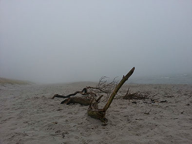 %_tempFileName20121121_085140%