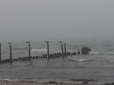 %_tempFileName20121121_092212%