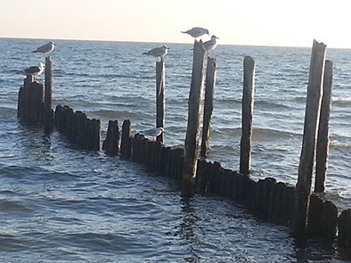 %_tempFileName20121123_093855%