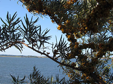 %_tempFileNameIMG_1126%