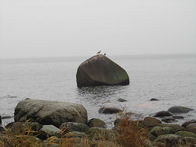 %_tempFileNameIMG_1205%